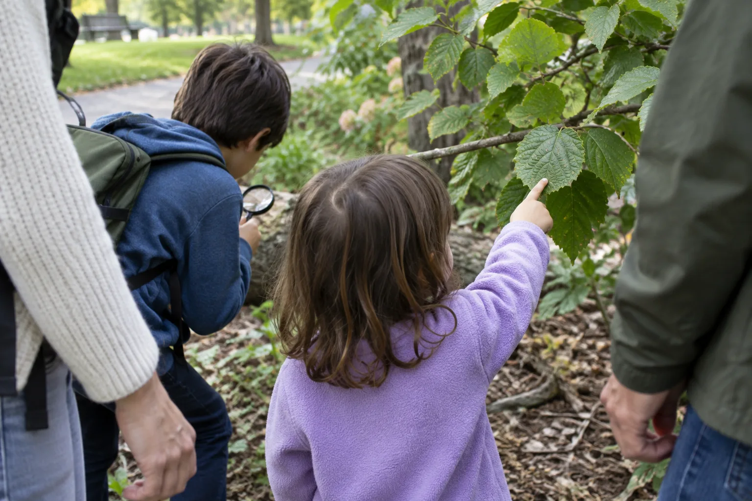 Un enfant montre une feuille pendant qu’un autre observe les environs dans un parc.