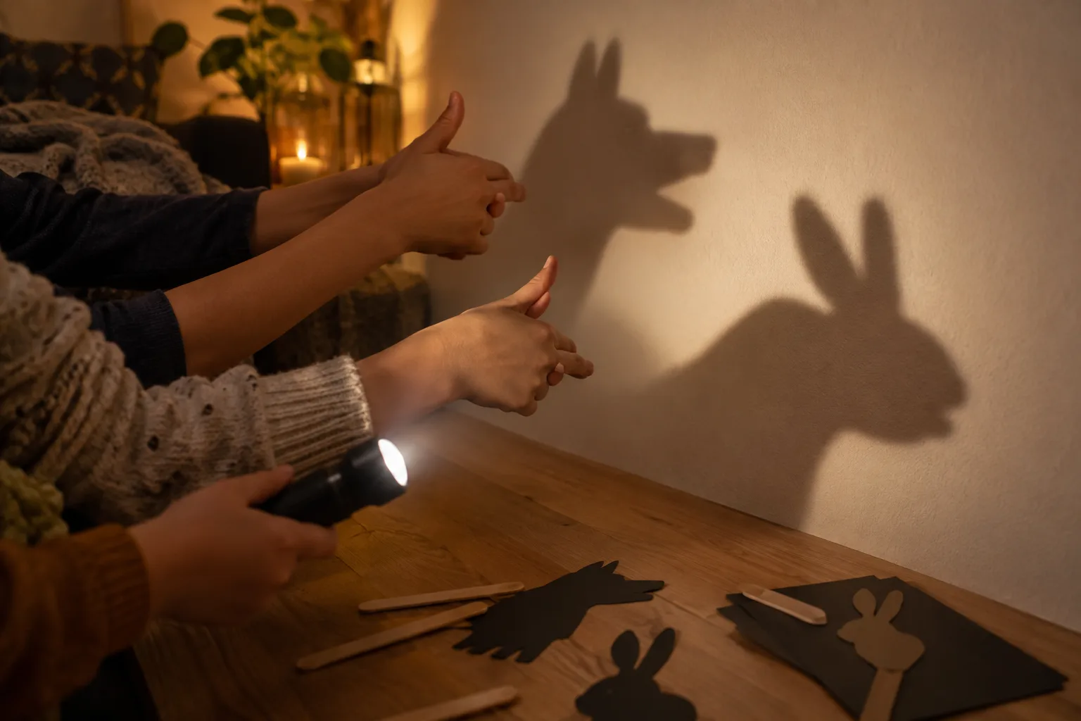 Des mains d’enfants projettent des silhouettes d’animaux sur un mur avec une lampe.